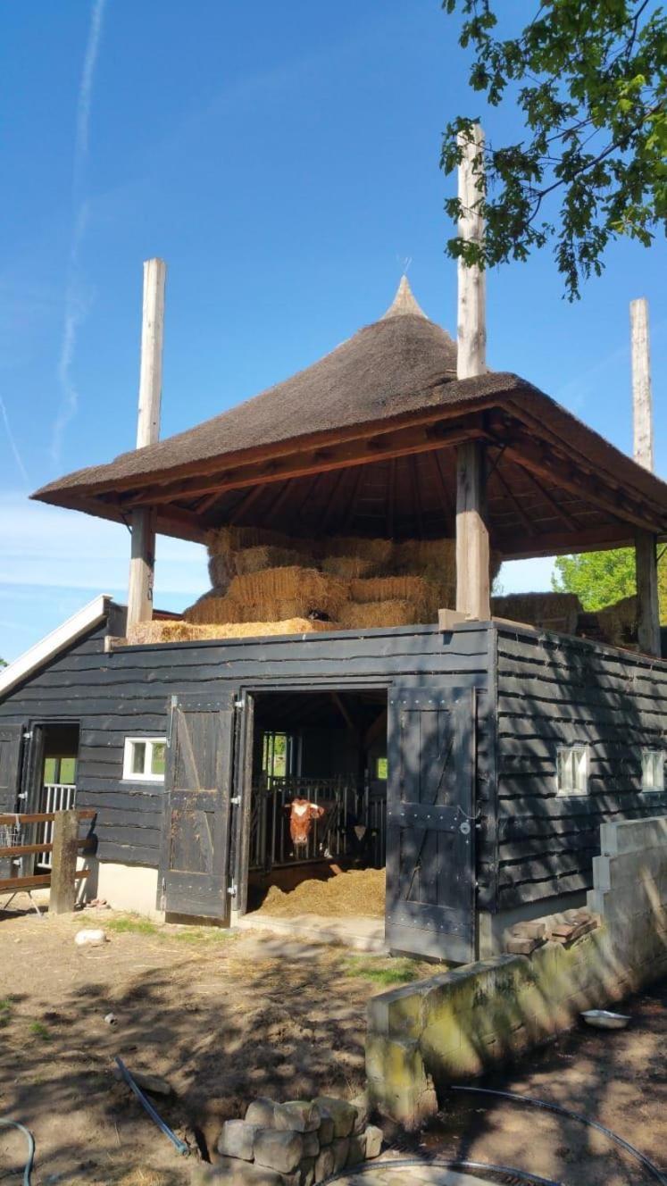 Wijhe Landgoed Groot Boerle B&B 외부 사진
