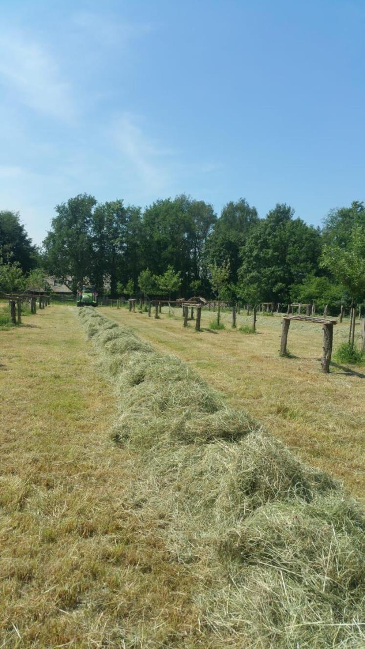 Wijhe Landgoed Groot Boerle B&B 외부 사진